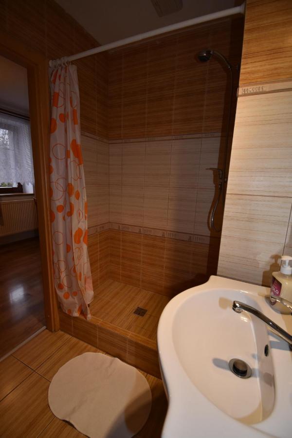 Apartmány Sněženka Destne v Orlickych horach Esterno foto
